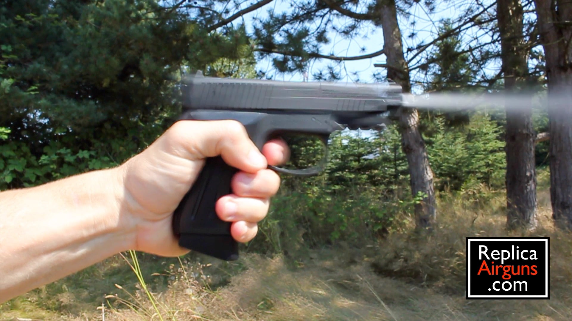 Umarex HPP CO2 BB Airgun Field Test