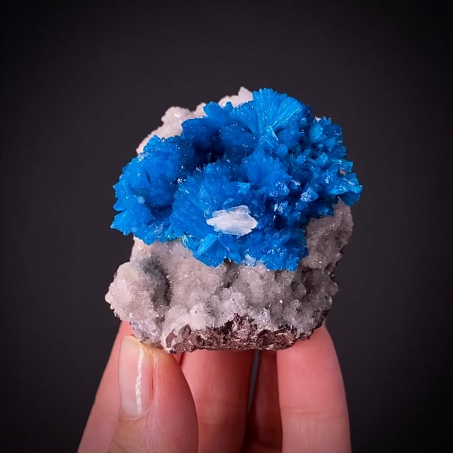 Cavansite on Stilbite