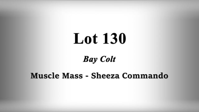 Lot 130