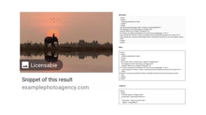 Google Images Licensable Badge — Nuts & Bolts Discussion
