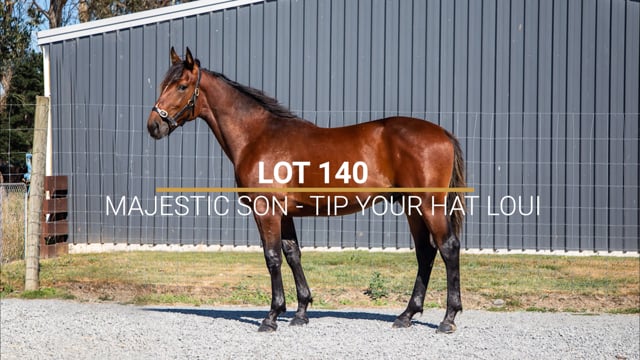 Lot 140