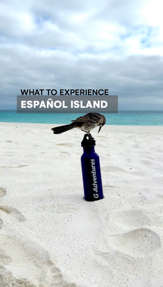 Galapagos- Español Island with G Adventures