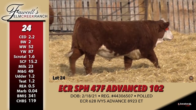 Lot #24 - ECR SPH 47F ADVANCED 102