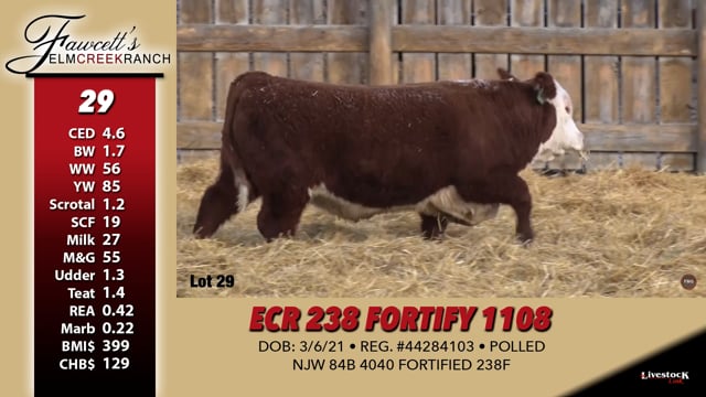 Lot #29 - ECR 238 FORTIFY 1108