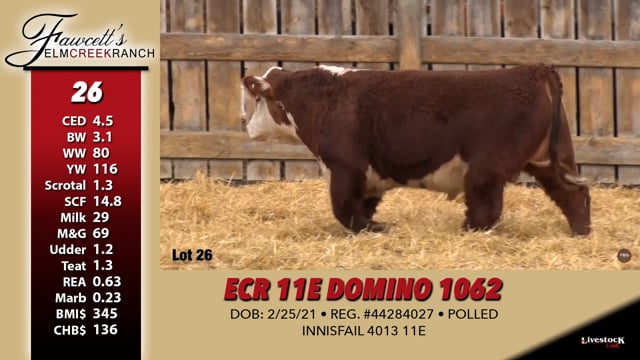 Lot #26 - ECR 11E DOMINO 1062
