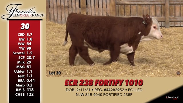 Lot #30 - ECR 238 FORTIFY 1010