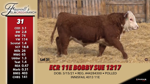 Lot #31 - ECR 11E BOBBY SUE 1217