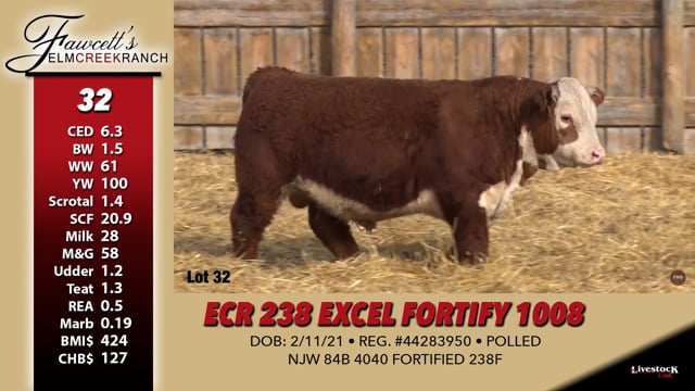 Lot #32 - ECR 238 EXCEL FORTIFY 1008