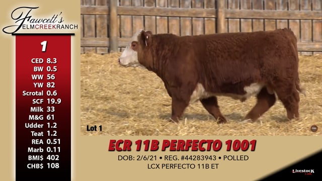 Lot #1 - ECR 11B PERFECTO 1001