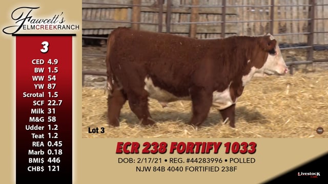 Lot #3 - ECR 238 FORTIFY 1033