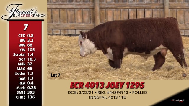 Lot #7 - ECR 4013 JOEY 1295
