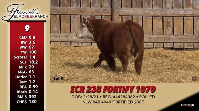 Lot #9 - ECR 238 FORTIFY 1070