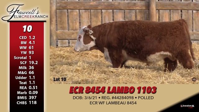 Lot #10 - ECR 8454 LAMBO 1103