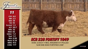 Lot #11 - ECR 238 FORTIFY 1049