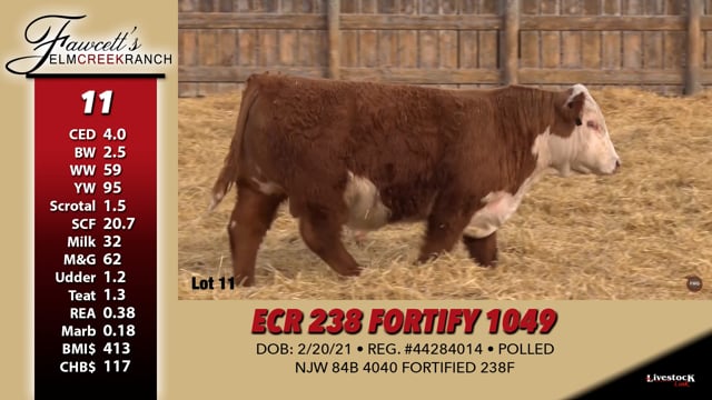 Lot #11 - ECR 238 FORTIFY 1049