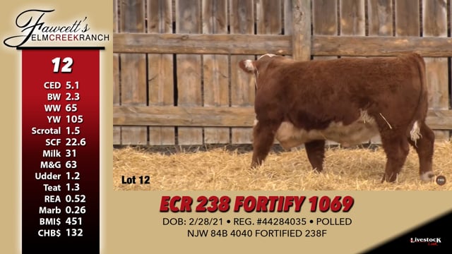 Lot #12 - ECR 238 FORTIFY 1069