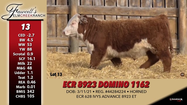 Lot #13 - ECR 8923 DOMINO 1162