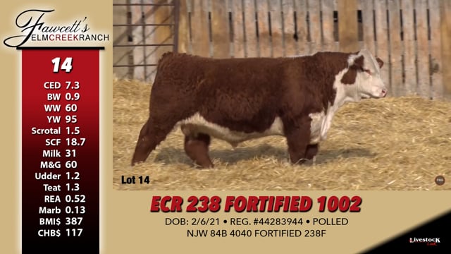 Lot #14 - ECR 238 FORTIFIED 1002