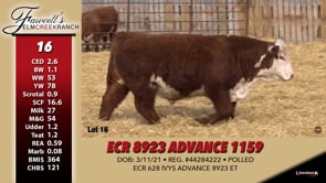 Lot #16 - ECR 8923 ADVANCE 1159