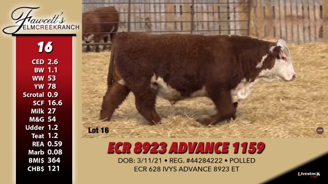 Lot #16 - ECR 8923 ADVANCE 1159