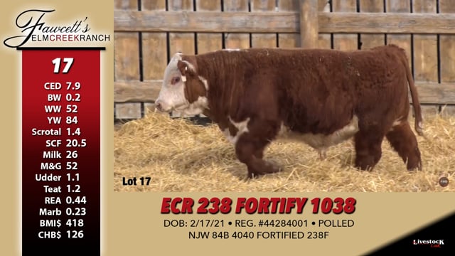Lot #17 - ECR 238 FORTIFY 1038