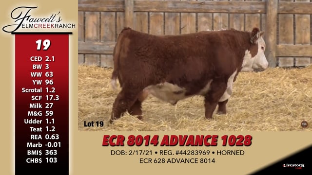 Lot #19 - ECR 8014 ADVANCE 1028