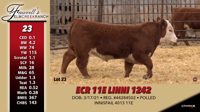 Lot #23 - ECR 11E LINNI 1242