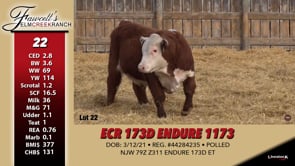 Lot #22 - ECR 173D ENDURE 1173