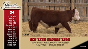 Lot #34 - ECR 173D ENDURE 1262