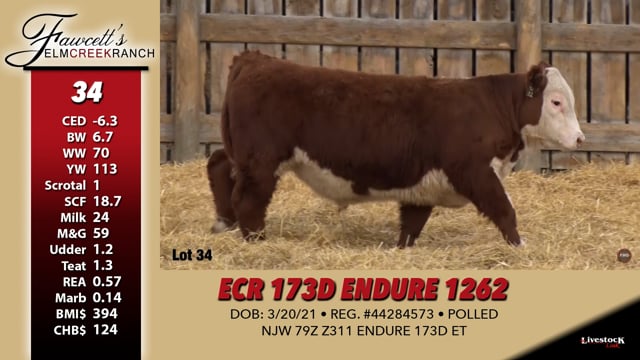 Lot #34 - ECR 173D ENDURE 1262