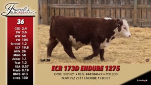 Lot #36 - ECR 173D ENDURE 1275