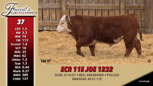 Lot #37 - ECR 11E JOE 1232