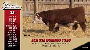 Lot #38 - ECR 11E DOMINO 1150