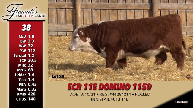 Lot #38 - ECR 11E DOMINO 1150