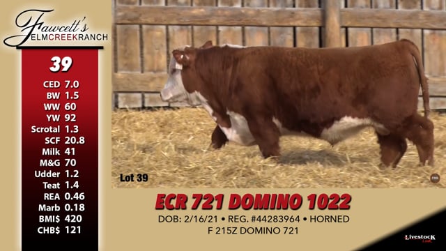 Lot #39 - ECR 721 DOMINO 1022