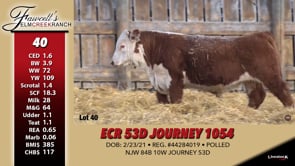 Lot #40 - ECR 53D JOURNEY 1054