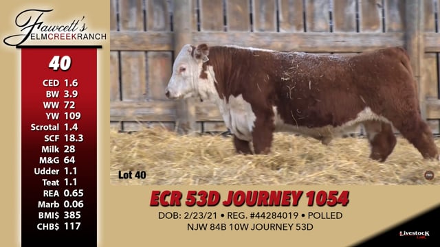 Lot #40 - ECR 53D JOURNEY 1054