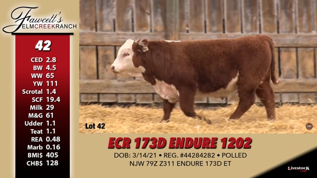 Lot #42 - ECR 173D ENDURE 1202