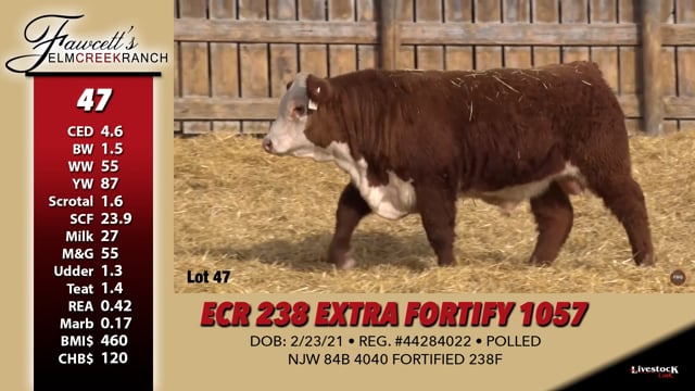 Lot #47 - ECR 238 EXTRA FORTIFY 1057