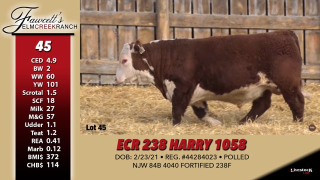 Lot #45 - ECR 238 HARRY 1058