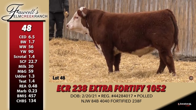 Lot #48 - ECR 238 EXTRA FORTIFY 1052