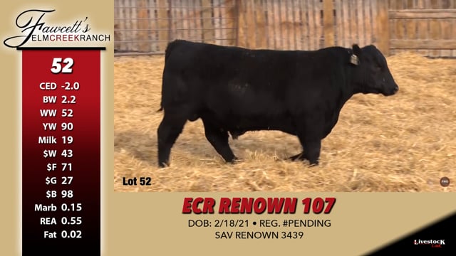 Lot #52 - ECR RENOWN 107