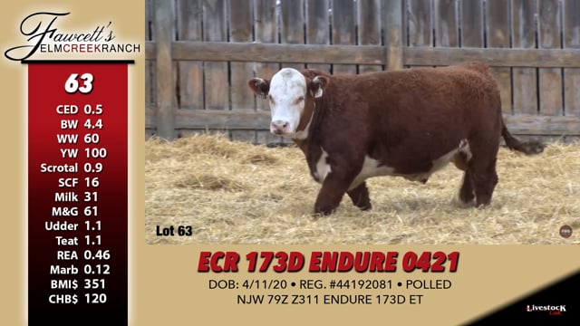 Lot #63 - ECR 173D ENDURE 0421