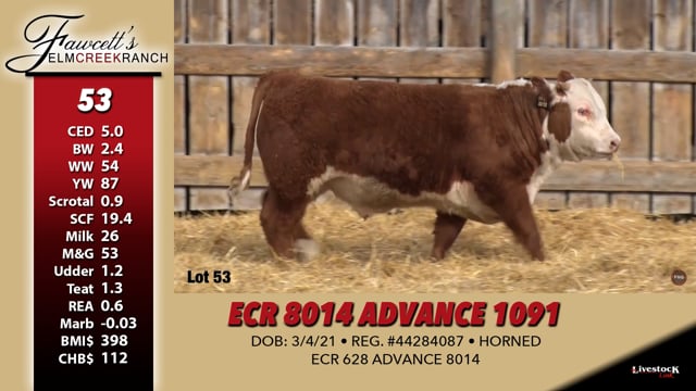 Lot #53 - ECR 8014 ADVANCE 1091