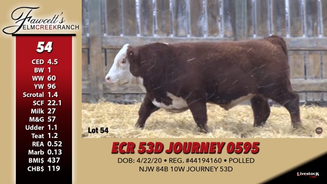 Lot #54 - ECR 53D JOURNEY 0595