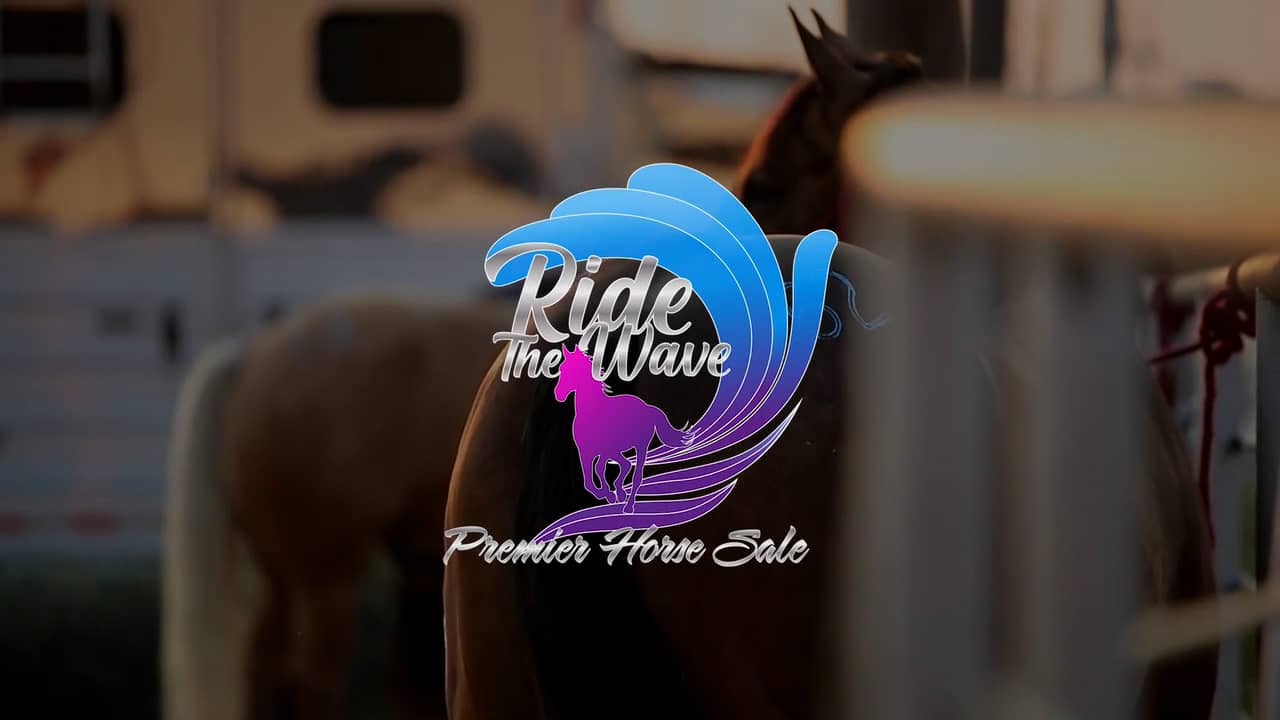 Video RTW 22 Premier Horse Sales Ocala Sale Promo 2022 social