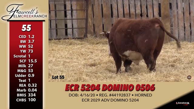 Lot #55 - ECR 5204 DOMINO 0506
