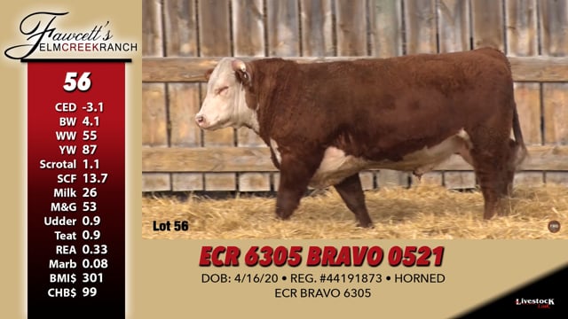 Lot #56 - ECR 6305 BRAVO 0521