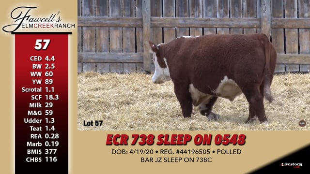 Lot #57 - ECR 738 SLEEP ON 0548