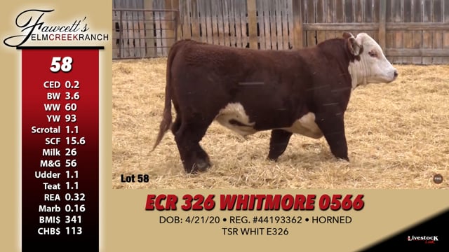 Lot #58 - ECR 326 WHITMORE 0566
